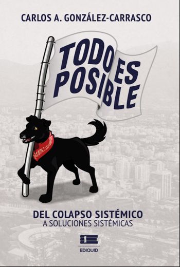 Todo es Posible: Del Colapso Sistémico a Soluciones Sistémicas (in Spanish)