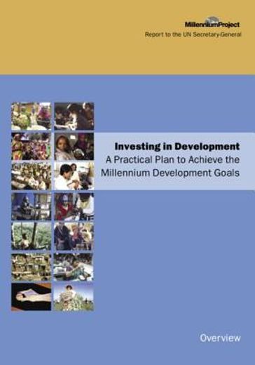 investing in development,a practical plan to achieve the millennium development goals : overview
