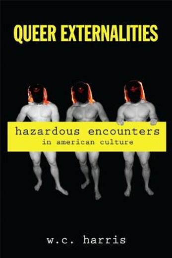 Queer Externalities: Hazardous Encounters in American Culture (en Inglés)