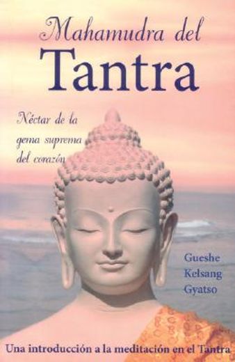 Mahamudra del Tantra (Mahamudra Tantra): Una Introducción a la Meditación En El Tantra (in Spanish)