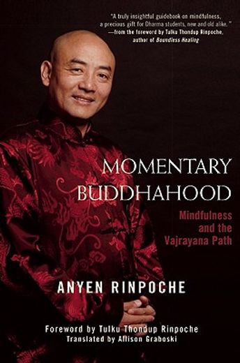 momentary buddhahood,mindfulness and the vajrayana path