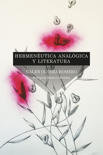Hermeneutica Analogica y Literatura