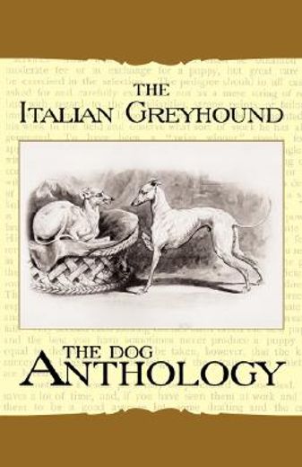 the italian greyhound - a dog anthology (a vintage dog books breed classic)