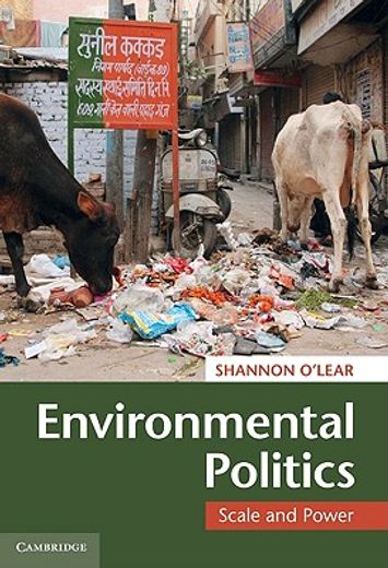 environmental politics,scale and power