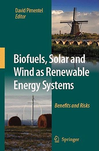 biofuels, solar and wind as renewable energy systems,benefits and risks