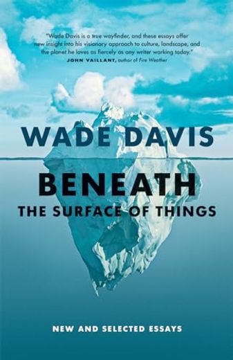 Beneath the Surface of Things: New and Selected Essays (in English)