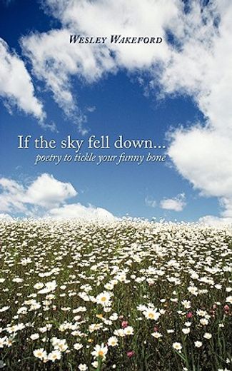 if the sky fell down