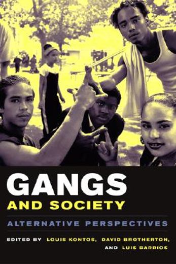 gangs and society,alternative perspectives