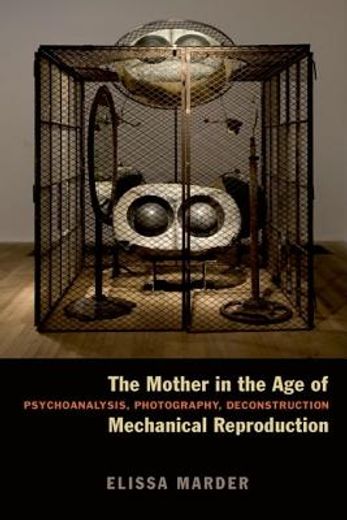 the mother in the age of mechanical reproduction,psychoanalysis, photography, deconstruction