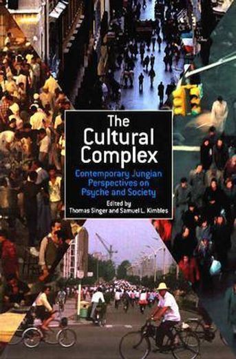 the cultural complex,contemporary jungian perspectives on psyche and society