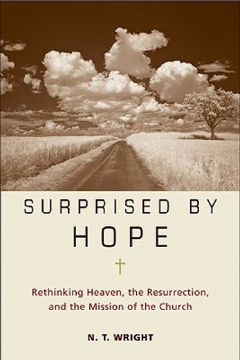 surprised by hope,rethinking heaven, the resurrection, and the mission of the church (in English)