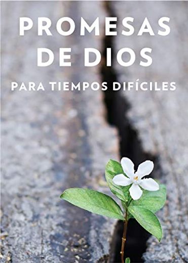 Promesas de Dios Para Tiempos Difíciles (Cuero de Imitación) (in Spanish)