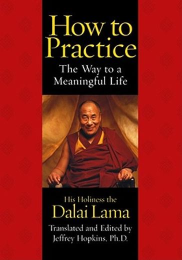 how to practice,the way to a meaningful life (en Inglés)