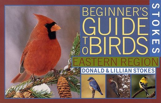 stokes beginner´s guide to birds,eastern region (en Inglés)