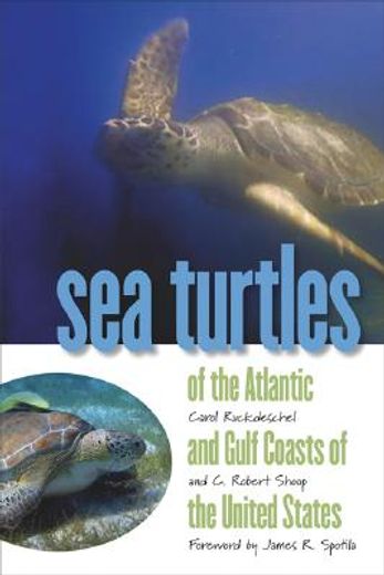 sea turtles of the atlantic and gulf coasts of the united states (en Inglés)