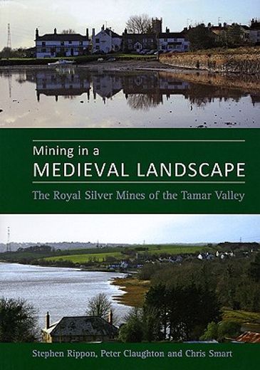 mining in a medieval landscape,the royal silver mines of the tamar valley