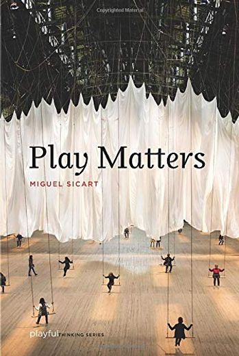 Play Matters (Playful Thinking) (en Inglés)