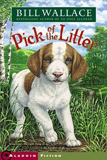 pick of the litter (en Inglés)