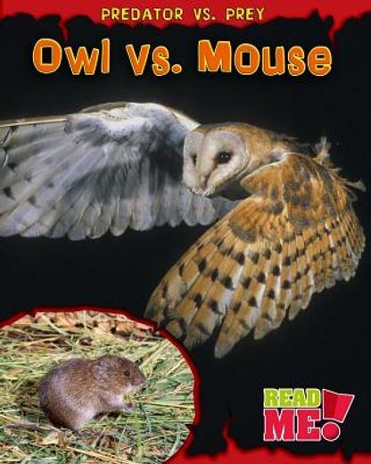 owl vs. mouse