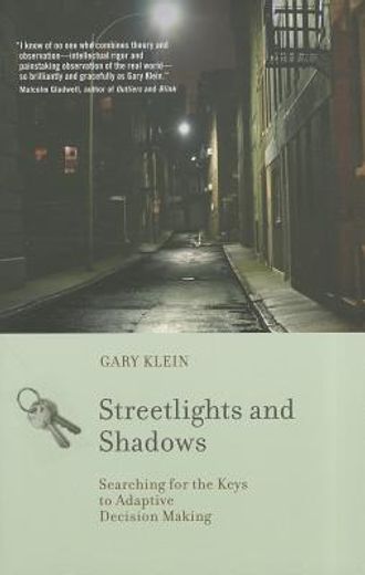 streetlights and shadows: searching for the keys to adaptive decision making