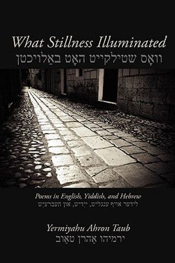 what stillness illuminated: poems in english, yiddish, and hebrew