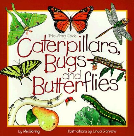 caterpillars, bugs and butterflies (en Inglés)