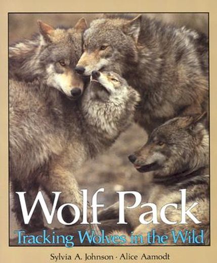 wolf pack,tracking wolves in the wild