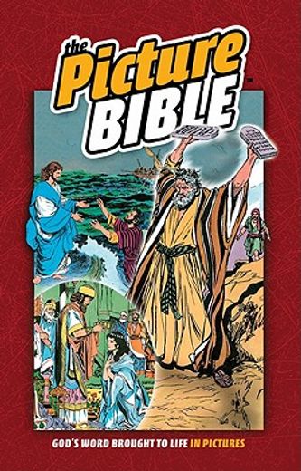 the picture bible (en Inglés)
