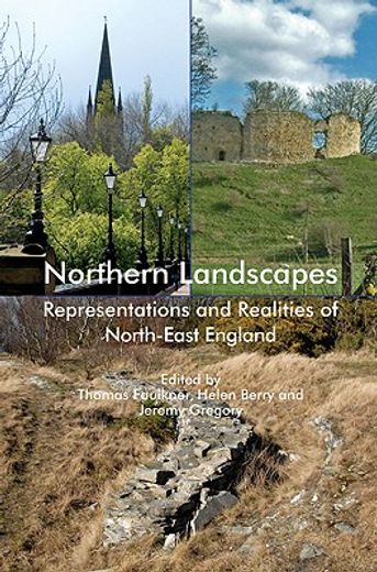 northern landscapes,representations and realities of north-east england