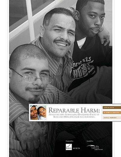 reparable harm,assessing and addressing disparities faced by boys and men of color in california