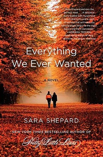 everything we ever wanted,a novel
