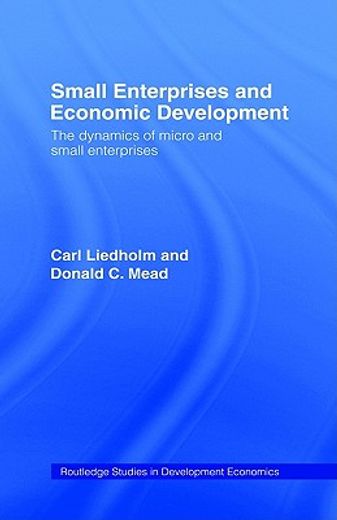 small enterprises and economic development,the dynamics of micro and small enterprises