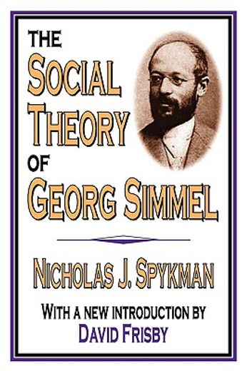 the social theory of georg simmel