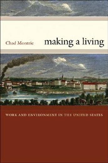 making a living,work and environment in the united states