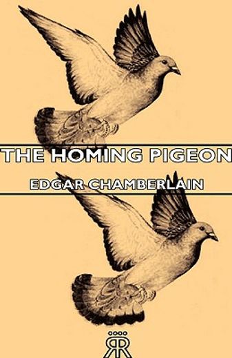 the homing pigeon