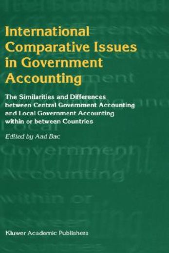 international comparative issues in government accounting