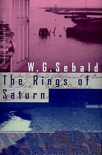 the rings of saturn (en Inglés)