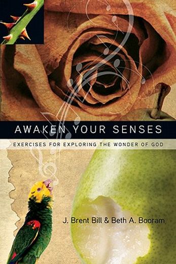 awaken your senses (en Inglés)