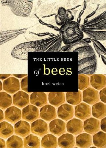 the little book of bees (en Inglés)