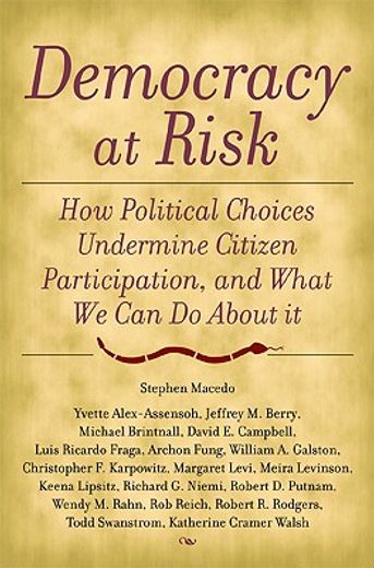 democracy at risk,how political choices undermine citizen participation, and what we can do about it