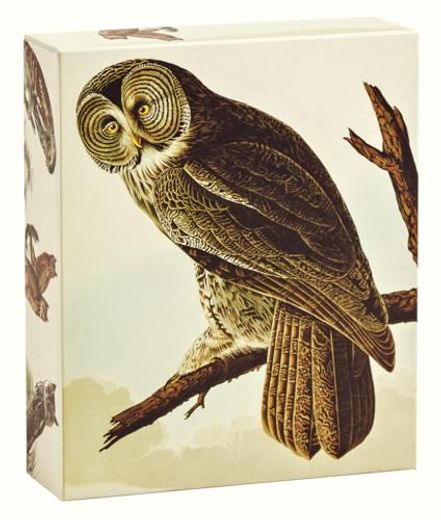 Audubon Owls Quicknotes: Our Standard Size set of 20 Notecards in a box With Magnetic Closure (in English)
