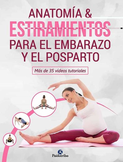 Anatomía & Estiramientos Para el Embarazo y el Postparto (in Spanish)