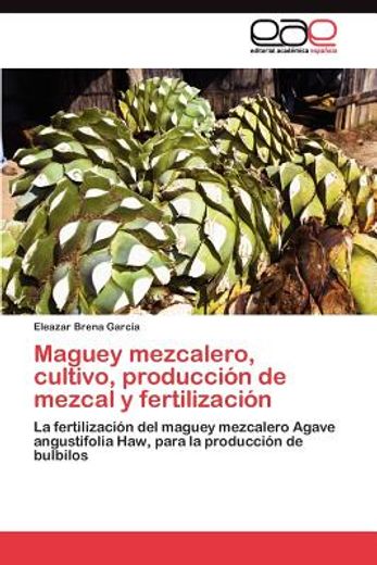 maguey mezcalero, cultivo, producci n de mezcal y fertilizaci n (in Spanish)