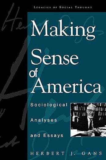 making sense of america,sociological analyses and essays