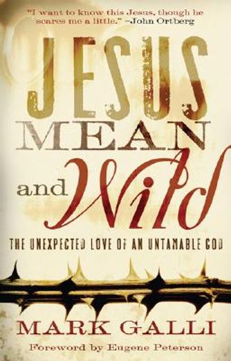 jesus mean and wild,the unexpected love of an untamable god