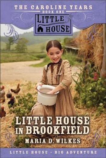 little house in brookfield (en Inglés)
