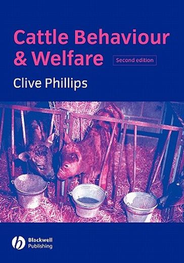 cattle behavior and welfare