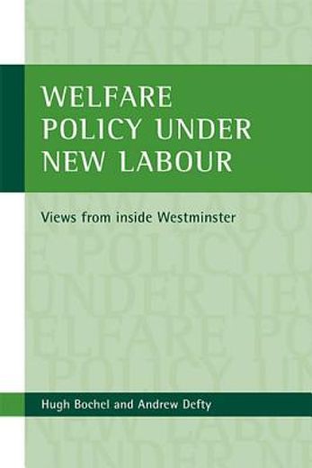 welfare policy under new labour,views from inside westminster