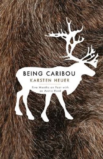 being caribou,five months on foot with an arctic herd