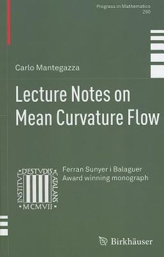 lecture notes on mean curvature flow